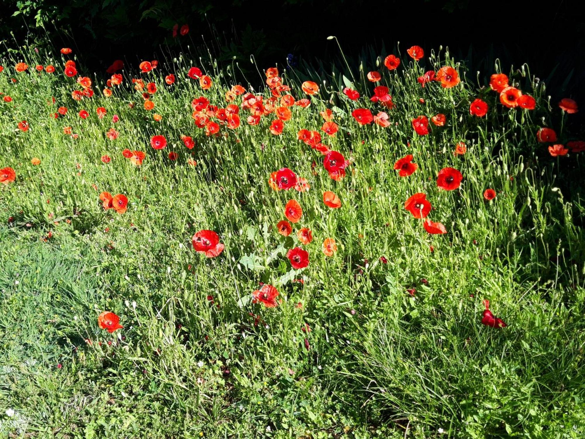 La Passagere Bed & Breakfast Hauterive  Exterior foto